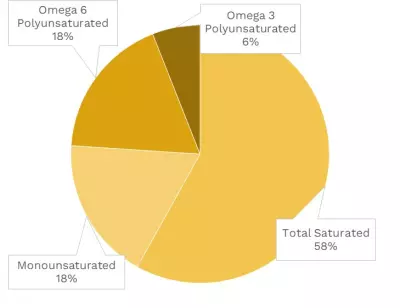 Visual graphic of fats in onion.