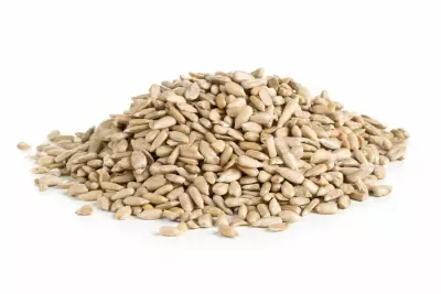 An image of sunflower seeds.