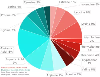 Visual graphic of amino acid distribution in ground beef, 85%/15%.