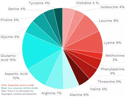 Visual graphic of amino acid distribution in deer meat.