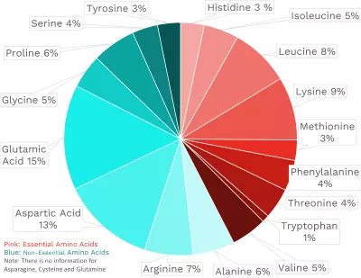 Visual graphic of amino acid distribution in emu, fan fillet.