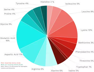 Visual graphic of amino acid distribution in bluefin tuna.