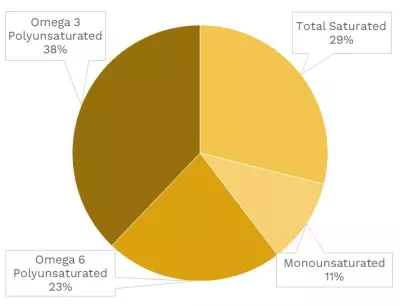 Visual graphic of fats in winter squash.