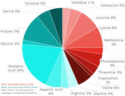 Visual graphic of amino acid distribution in brie cheese.