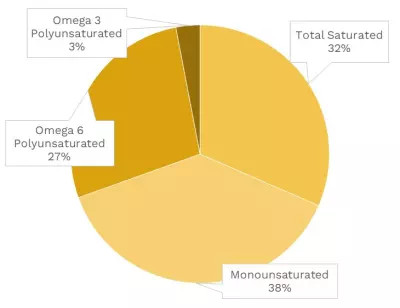 Visual graphic of fats in chicken dark meat, no skin.