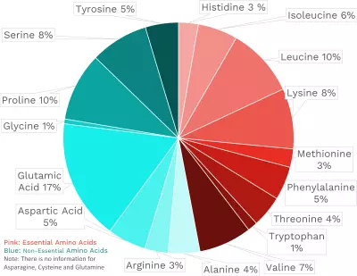Visual graphic of amino acid distribution in feta cheese.