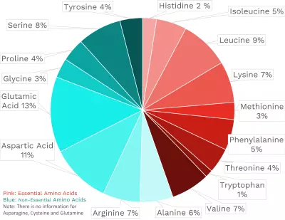 Visual graphic of amino acid distribution in chicken eggs.
