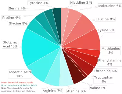 Visual graphic of amino acid distribution in chicken white meat, no skin.