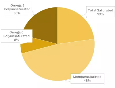 Visual graphic of fats in king mackerel.