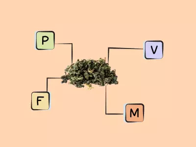 Nutrients in oolong tea.