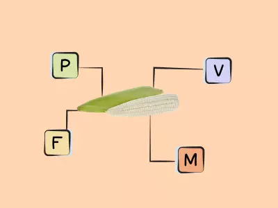 Nutrients in white sweet corn.