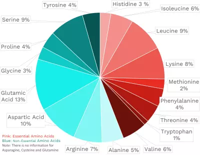 Visual graphic of amino acid distribution in egg yolk.