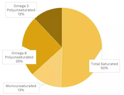 Visual graphic of fats in green onion.