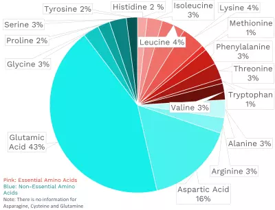 Visual graphic of amino acid distribution in green tomato.
