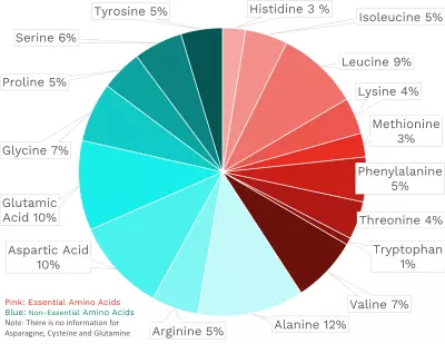Visual graphic of amino acid distribution in nori (aka laver).