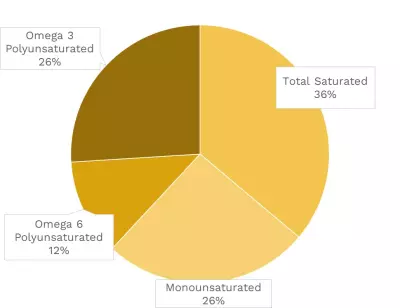 Visual graphic of fats in octopus.