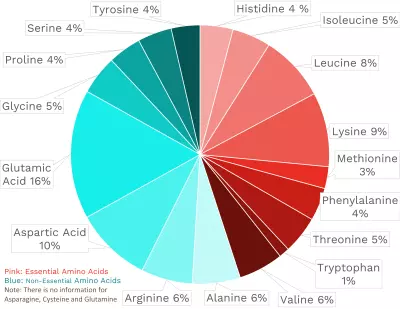 Visual graphic of amino acid distribution in pork loin.