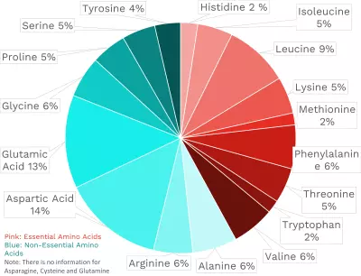 Visual graphic of amino acid distribution in spearmint.
