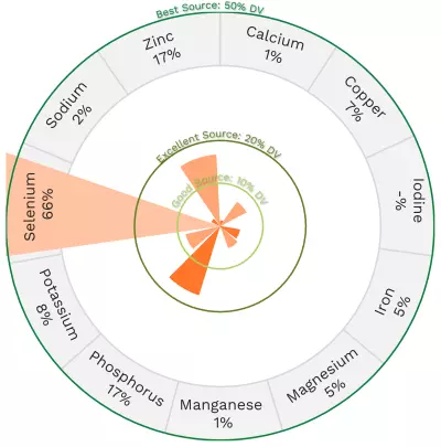 Visual graphic of minerals in pork loin.