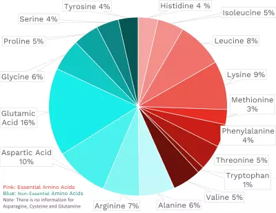 Visual graphic of amino acid distribution in beef brisket.