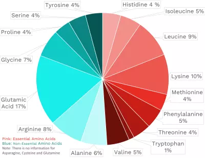 Visual graphic of amino acid distribution in beef heart.