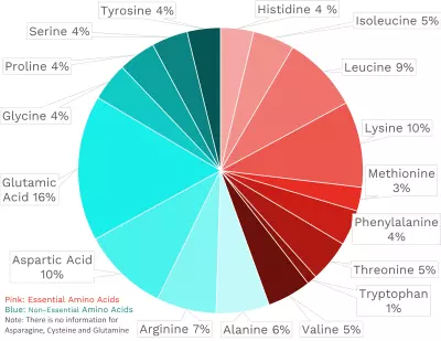 Visual graphic of amino acid distribution in beef inside round roast.