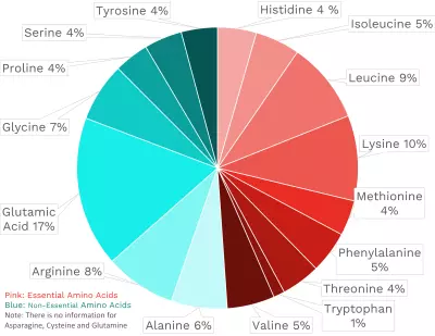 Visual graphic of amino acid distribution in grass-fed beef striploin.