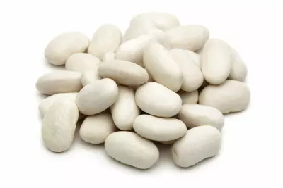An image of navy beans.