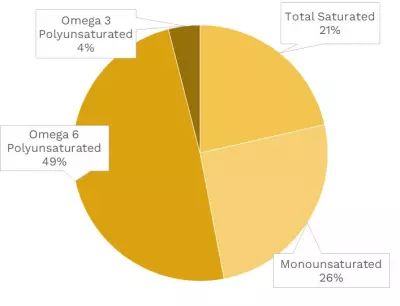 Visual graphic of fats in fava beans.