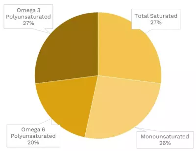 Visual graphic of fats in pinto beans.