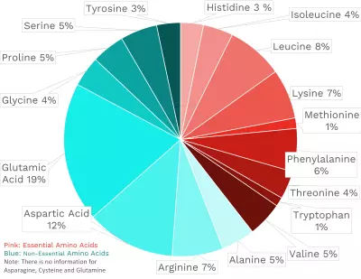 Visual graphic of amino acid distribution in cowpeas (aka black-eyed peas).