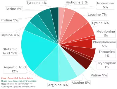 Visual graphic of amino acid distribution in edamame.