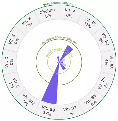 Visual graphic of vitamins in great northern beans.