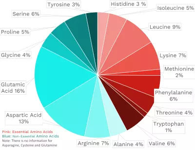 Visual graphic of amino acid distribution in red kidney beans.