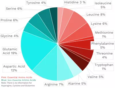 Visual graphic of amino acid distribution in soybeans.