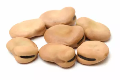 An image of fava beans.