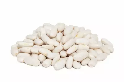 An image of great northern beans.