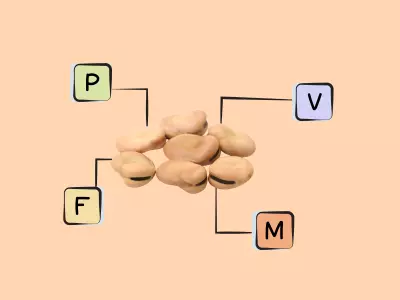 Nutrients in fava beans.