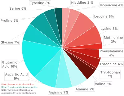 Visual graphic of amino acid distribution in pork sausage.