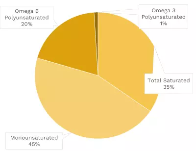 Visual graphic of fats in pork sausage.