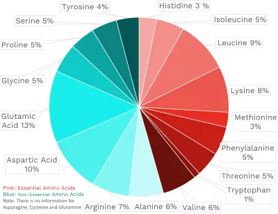 Visual graphic of amino acid distribution in chicken liver.