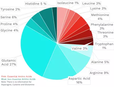 Visual graphic of amino acid distribution in slip skin grapes.