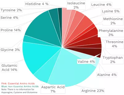 Visual graphic of amino acid distribution in European grapes.