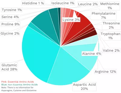 Visual graphic of amino acid distribution in white grapefruit.