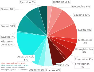Visual graphic of amino acid distribution in sheep milk.