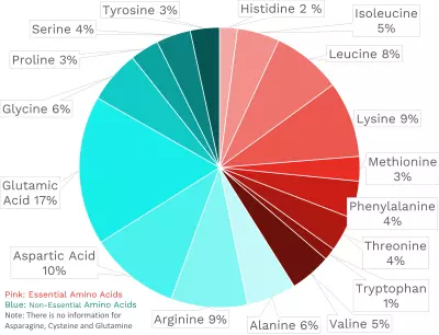 Visual graphic of amino acid distribution in spiny lobster.