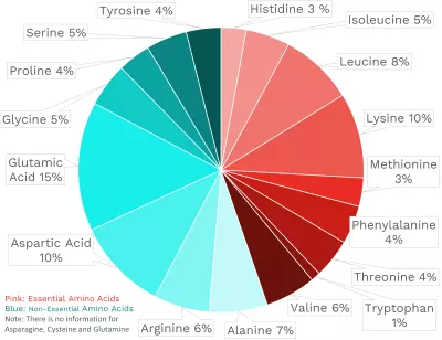 Visual graphic of amino acid distribution in farmed Atlantic salmon.
