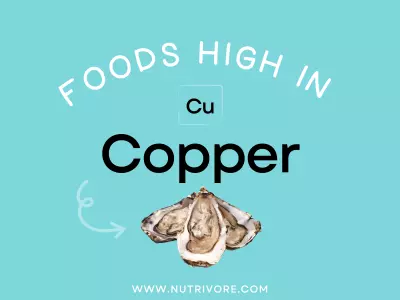 Foods High in Copper
