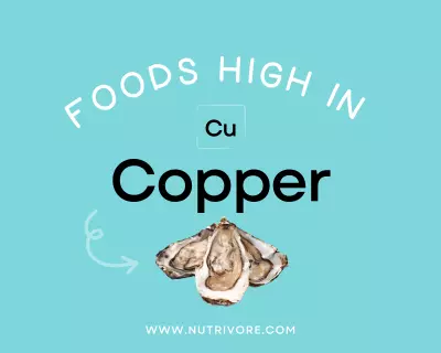 Foods High in Copper