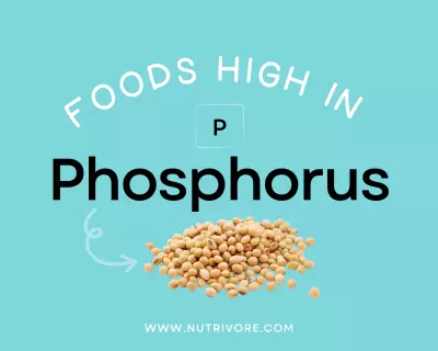 Foods High in Phosphorus
